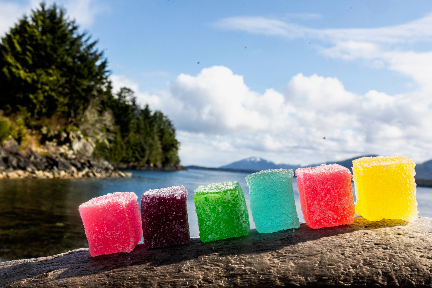 Assorted Sugared Jellies